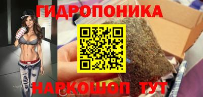 крисы Ипатово